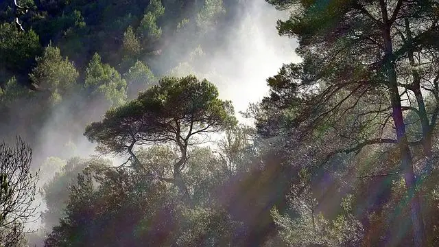 Porovnání s jinými typy tepelných čerpadel