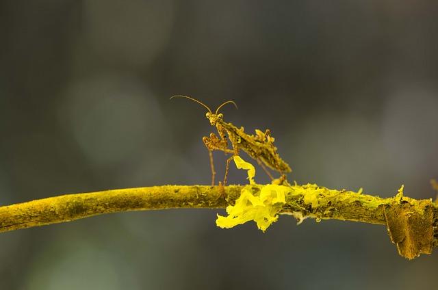 Dopady na biodiverzitu a ekosystémy v okolí jaderných elektráren