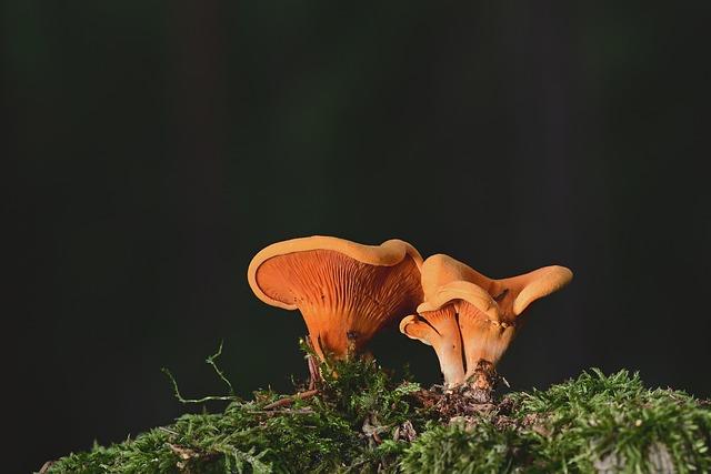 Jak vyřešit falešné alarmy detektoru plynu