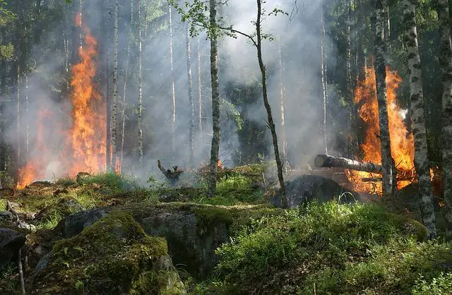 Co dělat v případě požáru: Prevence je klíčová