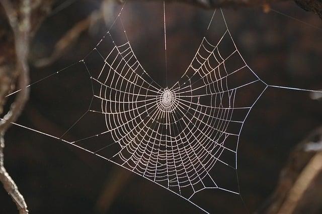 Jak stabilní je energetická síť pro rostoucí poptávku po elektroautách